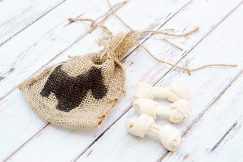 Homemade Dog Treat Bag Craft DogVills